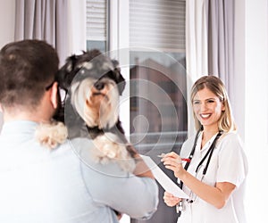 Dog examination at veterinarian