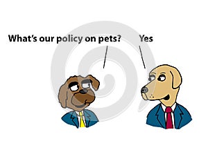 Dog executives discuss pet policy