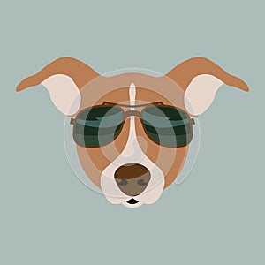 dog face in glasses vector illustration flat style photo