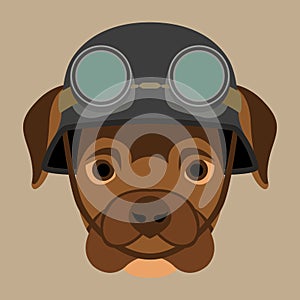 Dog face in helmet vector illustration flat style