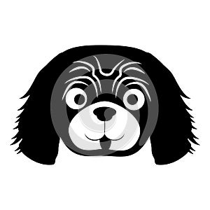 Dog face icon photo