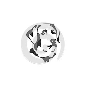 Dog face illustration designs