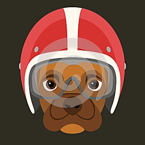 Dog face in motorcycle helmet vector illustration flat