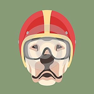 Dog face in motorcycle helmet vector illustration flat