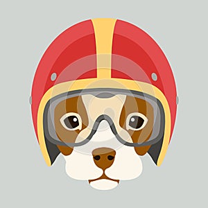 Dog face in motorcycle helmet vector illustration flat