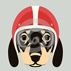 Dog face in motorcycle helmet vector illustration flat