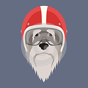 Dog face in motorcycle helmet vector illustration flat