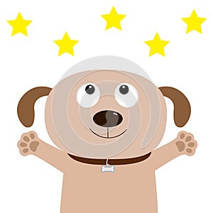 Dog face. Pet collection. Puppy pooch looking up to yellow star shape, paw print hug. Flat design. Cute cartoon funny character. W