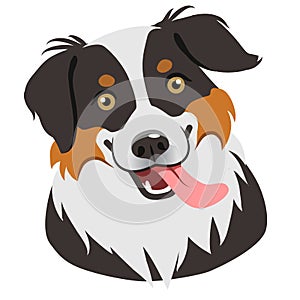 Dog face portrait cartoon illustration. Cute friendly herding d