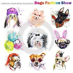 Dog with fashion accessories. Trendy dogs breed set. Pets shop background. cute domestic animal