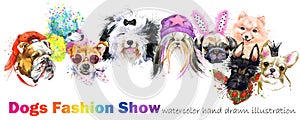 Dog with fashion accessories. Trendy dogs breed set. Pets shop background. cute domestic animal