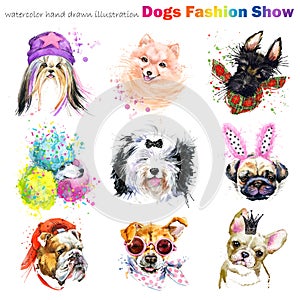 Il cane moda accessori. moderno razza impostato. animali domestici il negozio. Carino domestico l'animale 