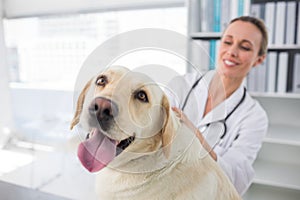 Dog with female veterinarian