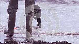 Dog fetching ball from the sea