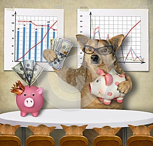 Dog financier teaches his students