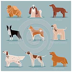 Dog flat icons set