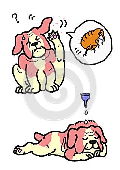 Dog flea extermination