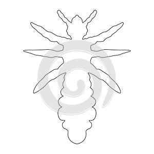 dog flea icon vector