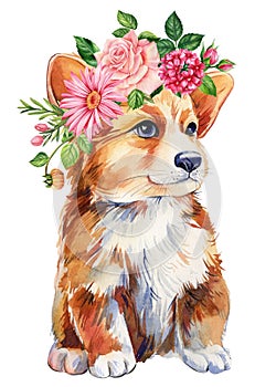 Dog and flower wreath, cute puppy on flora on isolated white background. Watercolor hand drawn illustration