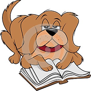 Dog fluffy reading