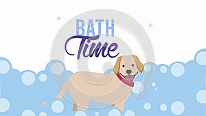 dog with foam bath time animation