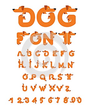 Dog font. Dachshund alphabet. Lettering home animal. ABC pet