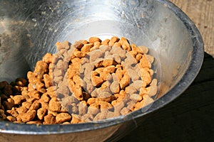 Dog Food