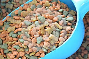 Dog food on blue plastic scoop in bag