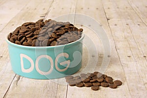 Dog food in a bowl.