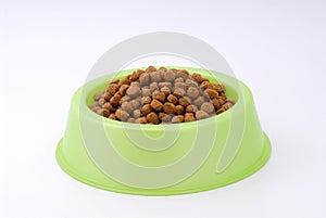 Dog food on bowl