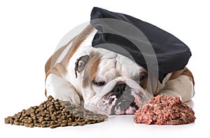 Dog food debate - kibble or raw