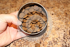 Dog food in a dog`s own cup