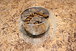 Dog food in a dog`s own cup