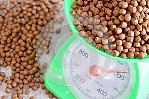 Dog food on green weighting scale