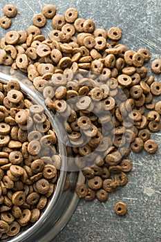 Dog food in metal bowl.