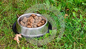 Dog food in metal bowl in grass