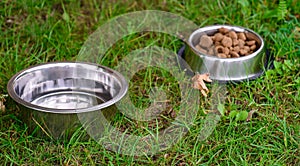 Dog food in metal bowl in grass
