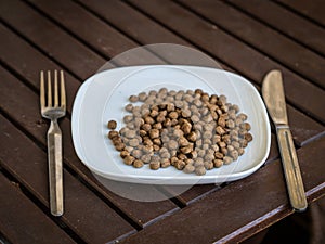 Dog food on the plate