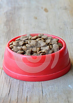 Dog food in red plastic bowl