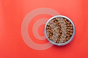 Dog food in a silver bowl. On the right. Red background. Copy, text sapce