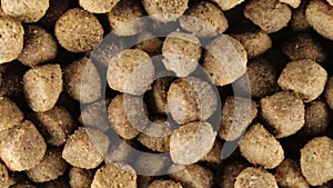 Dog food snack bio