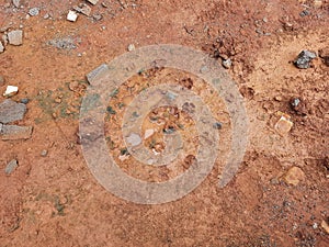 Dog foot print on the red color wet soil background