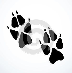 Dog foot print. Vector drawing