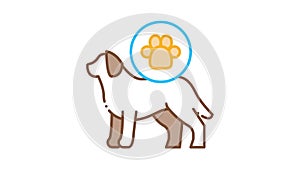Dog Footprint Icon Animation