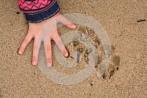 Dog footprint and kid hand on the beach