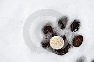 Dog footprint in the snow