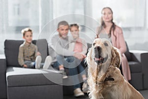 Family sitting on a sofa with a dog