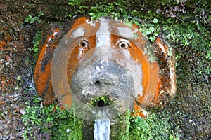 Dog fountain in Villa d'Este