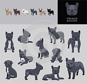 Dog French Bulldog Grey Coat Cartoon Vector Illustration Color Variation Set
