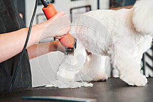 Dog fur combing and de-tangling during grooming